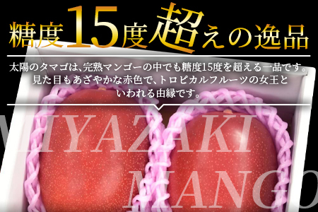 数量限定【2026年発送】＜宮崎県産 太陽のタマゴ A等級 2Lサイズ×3玉（合計約1kg）＞2026年4月上旬～6月末迄に順次出荷【 果物 くだもの フルーツ 太陽のタマゴ 太陽のたまご 完熟マンゴ