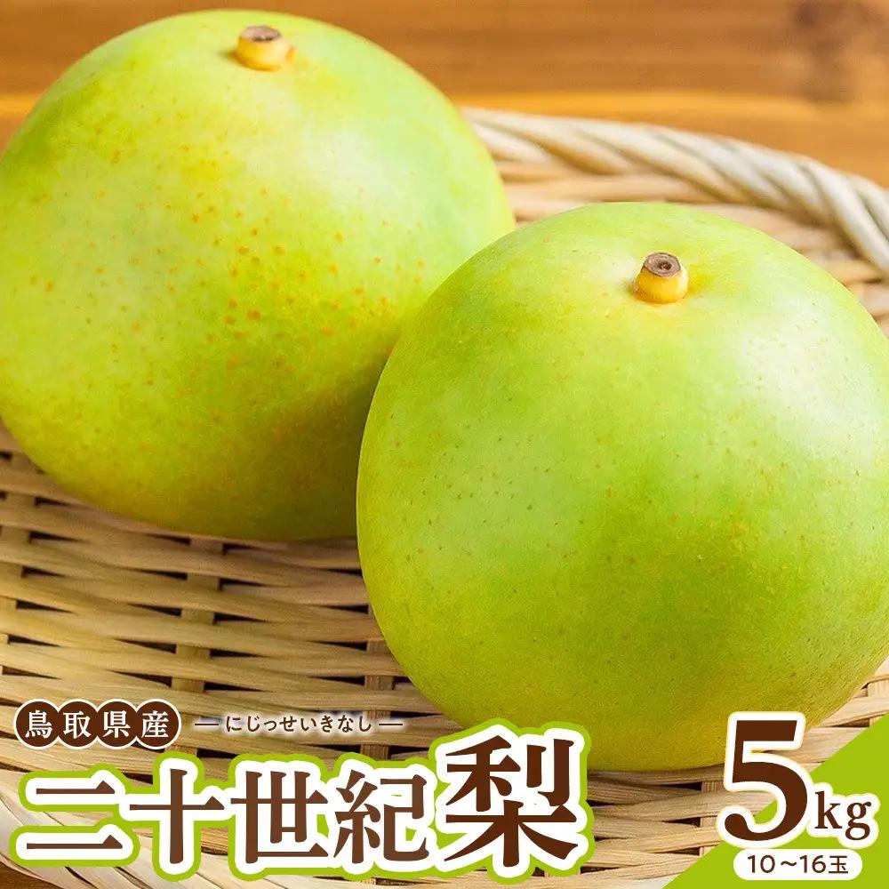 【先行予約】数量限定 二十世紀梨 5kg 梨
