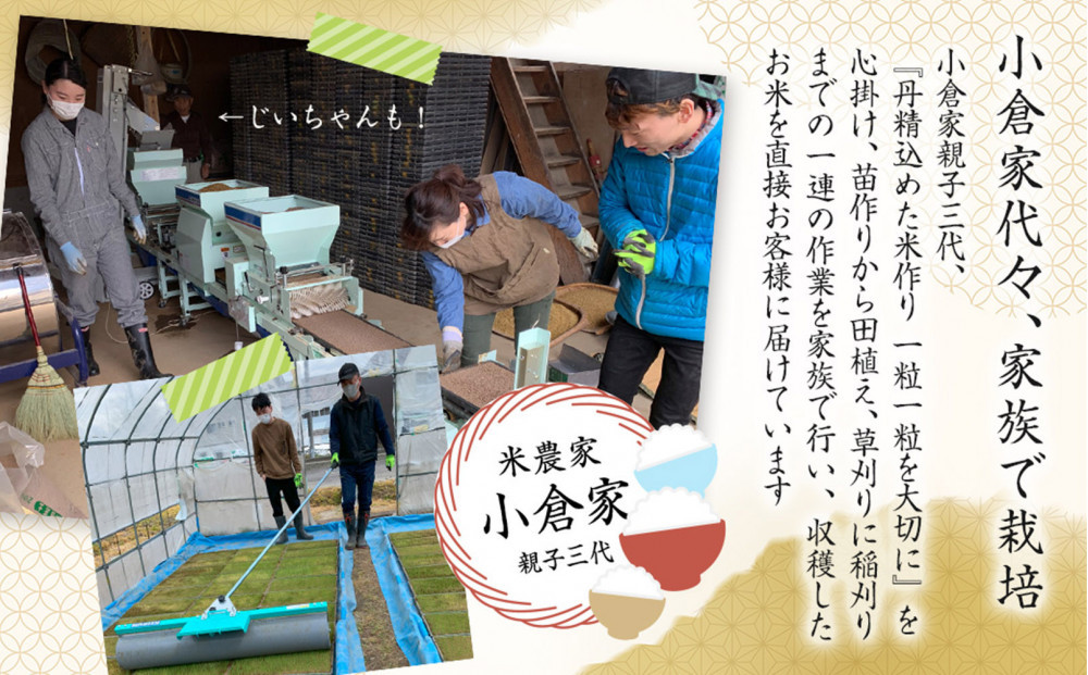 【令和８年産　新米予約 】【生産者直送】【定期便１２ヶ月】  南魚沼産こしひかり 無洗米5kg×全12回　合計60kg　オグライスファーム＜コシヒカリ 農家直送＞【定期便 お米 米】【2026年10月中旬頃から受付順に発送予定】