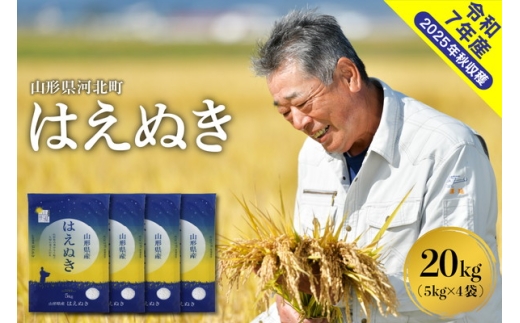 【令和7年産米】2026年3月中旬発送 はえぬき20kg（5kg×4袋） 山形県産 【米comeかほく協同組合】ka024-046d-r7-032