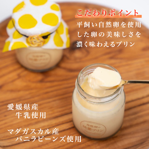 純愛プリン プレーン 4個入り