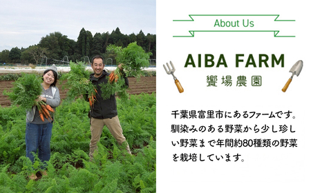 【12月～2月発送】【栽培期間中農薬不使用】訳あり人参１０㎏ AIBA FARM Ｂ品 / 野菜 やさい にんじん 人参 ニンジン 名産 特産 甘い 美味しい 訳あり 不揃い B級 健康 ヘルシー フ