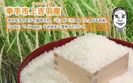 【令和7年産米】ハッピー(幸手市)でラッキー(上吉羽)なお米 コシヒカリ精米10kg - 白米 減農薬 ごはん 