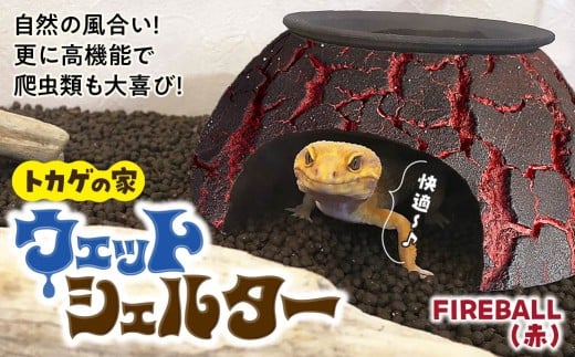 トカゲの家 ウェットシェルター 赤 爬虫類 | ペット トカゲ とかげ ペット用品 爬虫類用 シェルター 隠れ家 飼育用品 家 カビ抑制 観察 陶器 おしゃれ おうち デザイン 飼育 黒地 レオパードゲッコー レオパ フトアゴ イモリ カエル ヘビ 脱皮 作家 アーティスト ギフト 作品 陶芸家 手仕事 インテリア オブジェ 自然 ナチュラル レッド red セキグチタカヒト 埼玉県 北本市