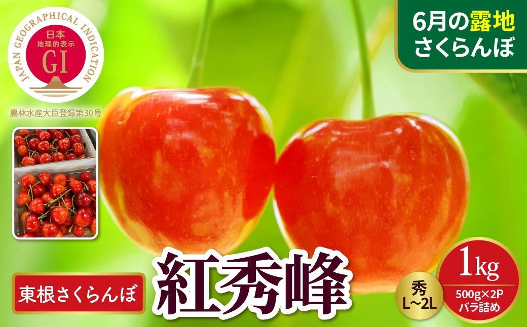
                  【2027年産先行予約】GI認証産品 東根さくらんぼ「紅秀峰」 秀L～2L 1kgバラ詰め(500g×2P) 山形県 東根市 晴天畑提供 hi026-070-r9 山形県 東根市 フルーツ さくらんぼ 露地 紅秀峰 期間限定 先行受付 産地直送
                