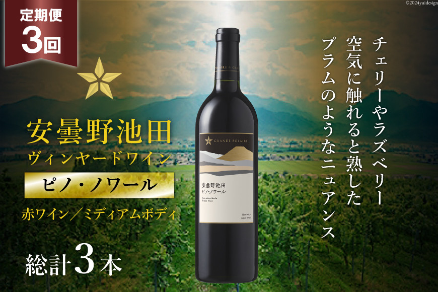 
                  定期便 3回 赤ワイン サッポロ グランポレール 安曇野池田ヴィンヤード 「ピノ・ノワール」 750ml 総計 3本  [ナチュラルマルシェ ソヨソヨ 長野県 池田町 48110870]  赤 ワイン わいん 赤わいん フルボディ 濃厚 凝縮 お酒 
                