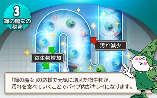 次世代型環境配慮型洗剤緑の魔女トイレ5L×3セット一石二鳥 洗剤+パイプクリーナーの機能可 | 洗剤 液体 環境配慮トイレ用 黄ばみ 黒ずみ 大容量 安全 中性タイプ 日常品 トイレ クリーナー お掃