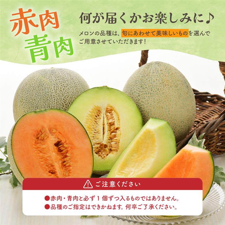 【2026年8月下旬発送】青森県津軽産 メロン 大玉 2個 品種おまかせ ≪贈答規格≫【青森メロン】