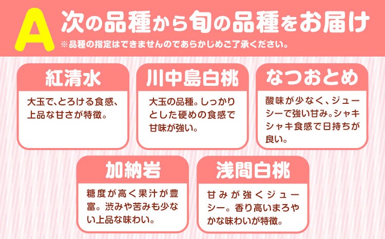 小寺さんの旬の白桃 2kg 6～9玉 小寺壽夫 《7月-8月頃出荷》 岡山県 笠岡市 岡山県産 モモ 果物 フルーツ もも 桃 選べる 品種 白桃 白鳳 清水白桃 岡山夢白桃 白麗 白露 紅清水 川中島白桃 なつおとめ 加納岩 浅間白桃 白皇 白桃---K-29---