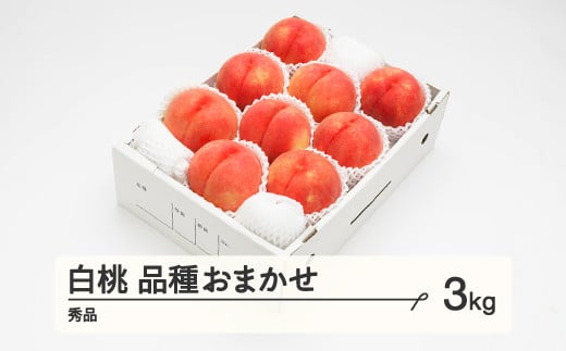 《先行予約》2025年 山形県産 もも 白桃 秀品 品種おまかせ 化粧箱入り 約3kg  令和7年産 ns-mohtx3