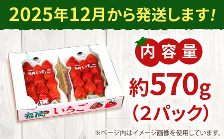 【2025年12月より発送】『自然環境農法』で育てた福岡県産 あまおう 約285g×2パック＜おおきベリー株式会社＞那珂川市[GZE007]