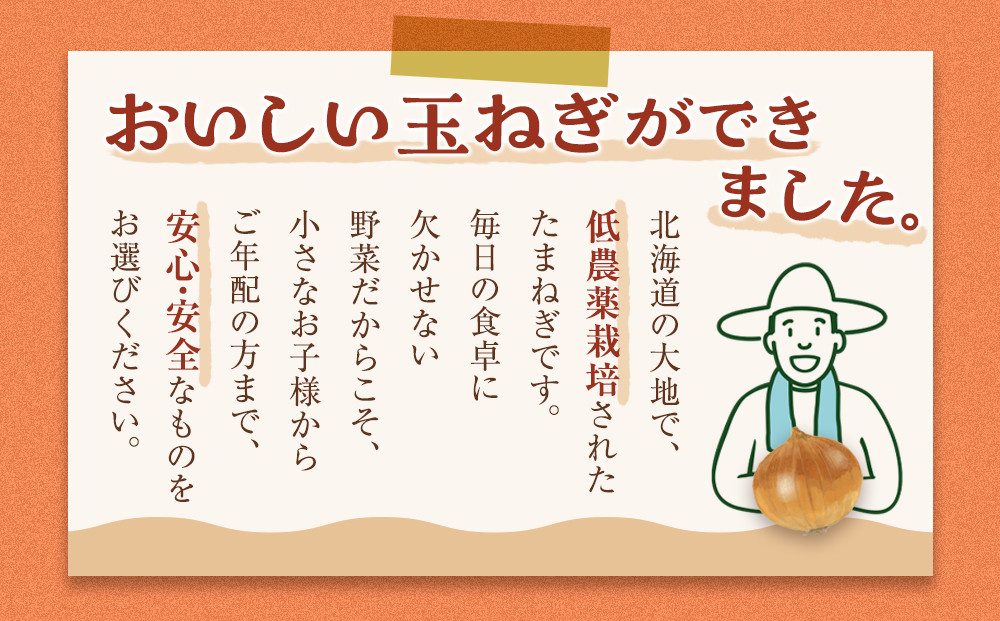【先行予約】農家直送 低農薬 旭川産 玉ねぎＬサイズ20kg(2026年9月発送開始予定)_05935