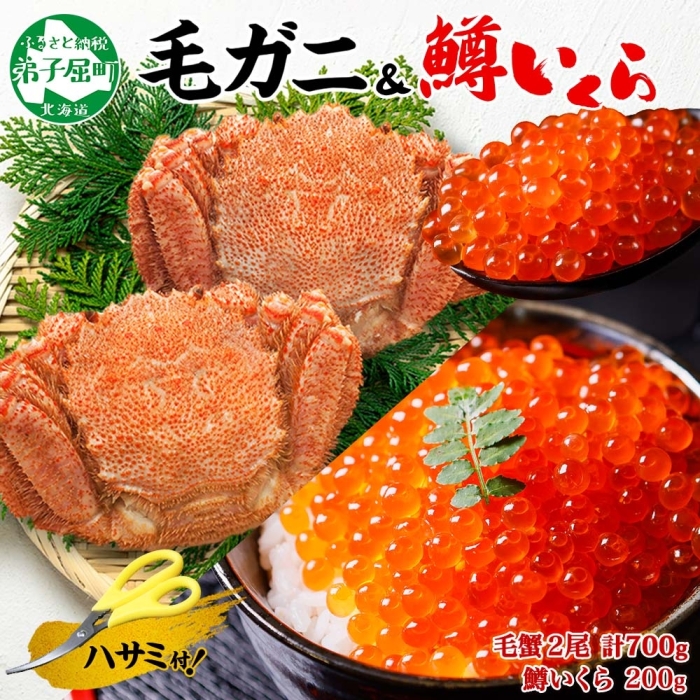 3629. 毛蟹 2尾 計700g前後 鱒いくら醤油漬け 200g 専用ハサミ・食べ方ガイド付き 毛ガニ 毛がに 蟹 カニ  鱒 いくら 醤油漬け ボイル 北海道 弟子屈町
