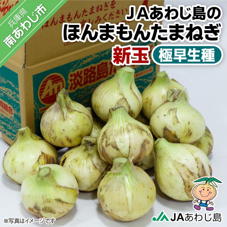 【ふるさと納税】【量が選べる！新玉予約！】JAあわじ島のほんまもんたまねぎ 極早生種　◆発送3月〜