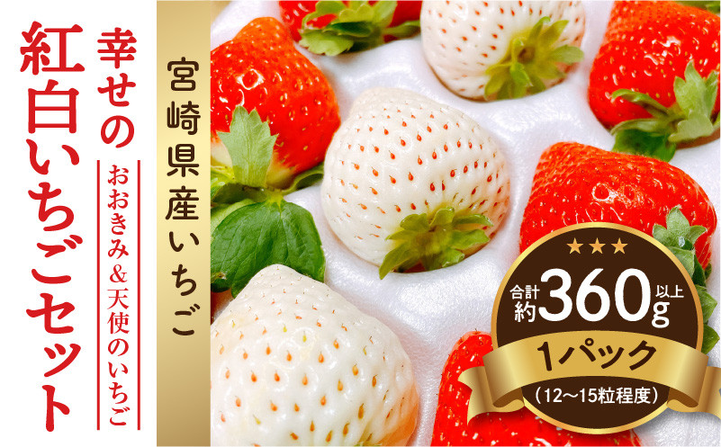 
期間・数量限定 宮崎県産 イチゴ 幸せの紅白いちごセット おおきみ&天使のいちご 1パック(約360g以上:12粒～15粒程度)_M260-006
