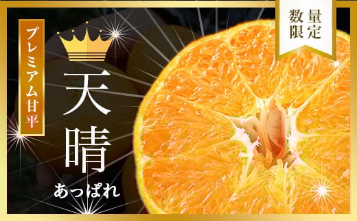 
            【先行予約】【数量限定】プレミアム甘平「天晴」 JAおちいまばり厳選 限定20箱【K000540】
          