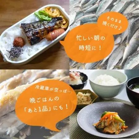 塩さばフィレ2kg【配送不可地域：離島】【1300964】
