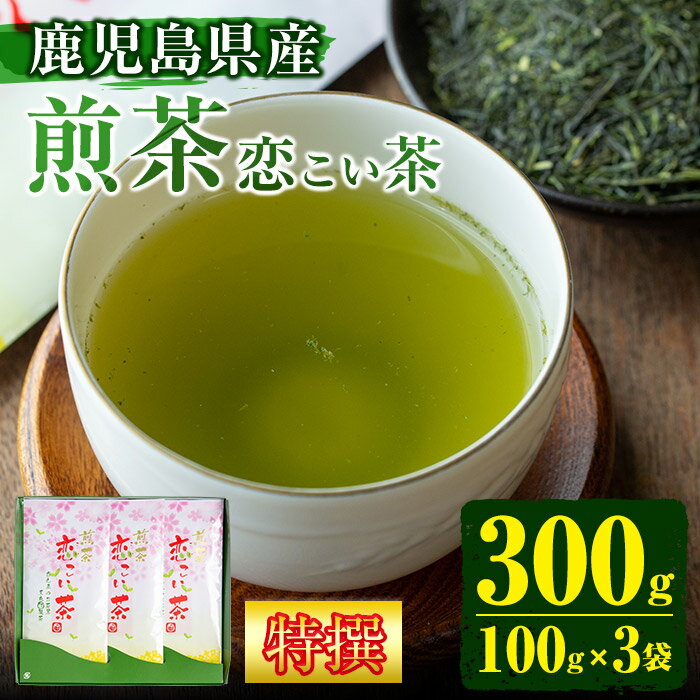 【ふるさと納税】＜鹿児島県産＞特撰煎茶(100g×3袋セット 計300g) 国産 九州産 お茶 緑茶 煎茶 茶葉 日本茶 【末永(清)製茶】