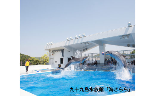 H147 海きらら･森きらら入場引換券(大人4名)