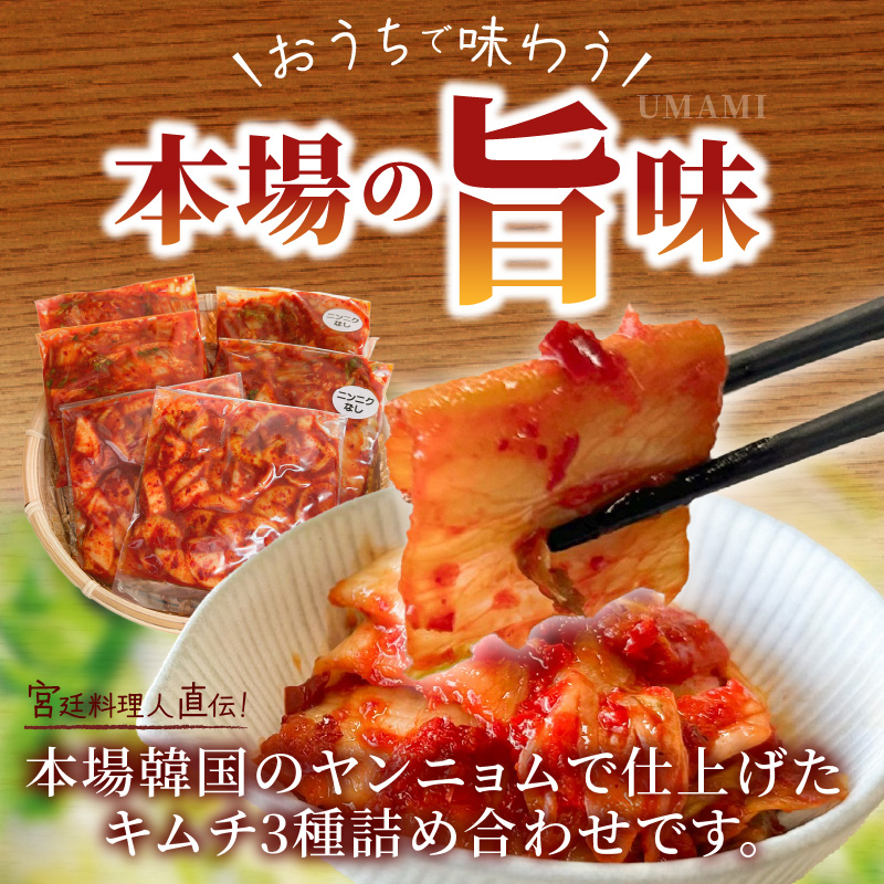 3種キムチ詰め合わせ （本格白菜キムチ・ニンニク無し白菜キムチ・大根キムチ） 計6P（3種×2P） 食べ比べ 手作り 無添加 本格 発酵食品 健康食品 キムチ 白菜 大根 漬物 H147-006