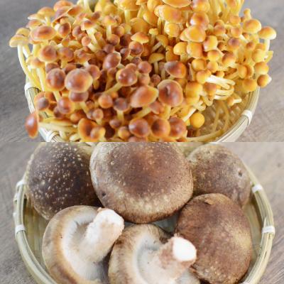 ふるさと納税 中野市 四種のきのこの炊き込みご飯の素　4パック |  | 03