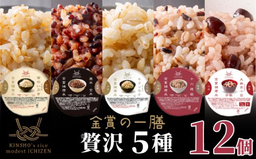 ご飯パック 金賞 健康米 食べ比べ 贅沢 5種セット 黒米 金のいぶき キラリモチ 十六雑穀 赤飯 120g×12個入り 国産 レンチン もち麦 軽食 夜食 簡単 白米 麦 食物繊維 ビタミン 御飯 ごはん パック ご飯 パックライス