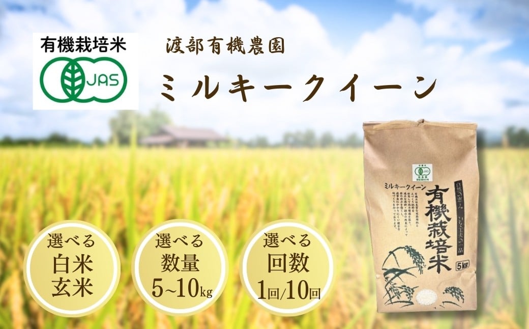 
            JAS有機米 ミルキークイーン  選べる白米/玄米 5kg-10kg 単品/定期便 令和7年産 | JAS 有機米 精米 玄米 コメ 米 こめ ブランド米 銘柄 福島 福島県産 渡部有機農園
          
