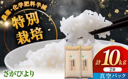 令和7年産 ななしま家 さがびより 5kg×2袋 / 白米 特別栽培 / 佐賀県 / 有限会社七島農産 [41AHAC004]