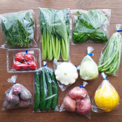 ふるさと納税 豊能町 おまかせ野菜セット(2026年5月下旬〜発送予定) |  | 01