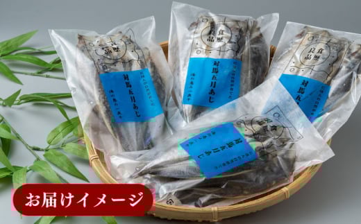 対馬 五月 真あじ 一汐干し 10枚 《 対馬市 》【 うえはら株式会社 】新鮮 アジ 干物 海産物 朝食 冷凍 [WAI009]