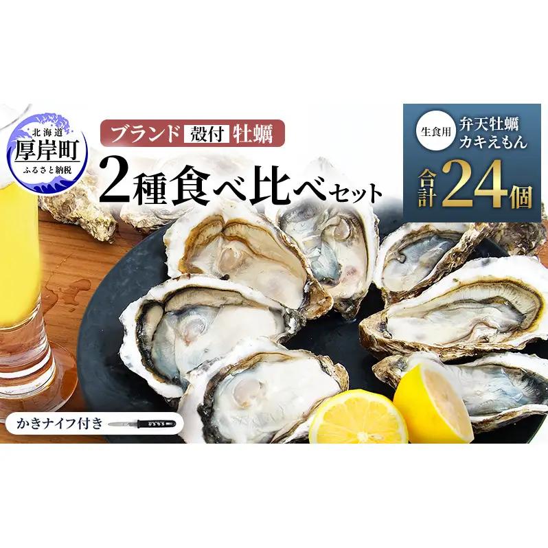 厚岸産牡蠣 弁天かき A3サイズ・カキえもん LLサイズ 各12個