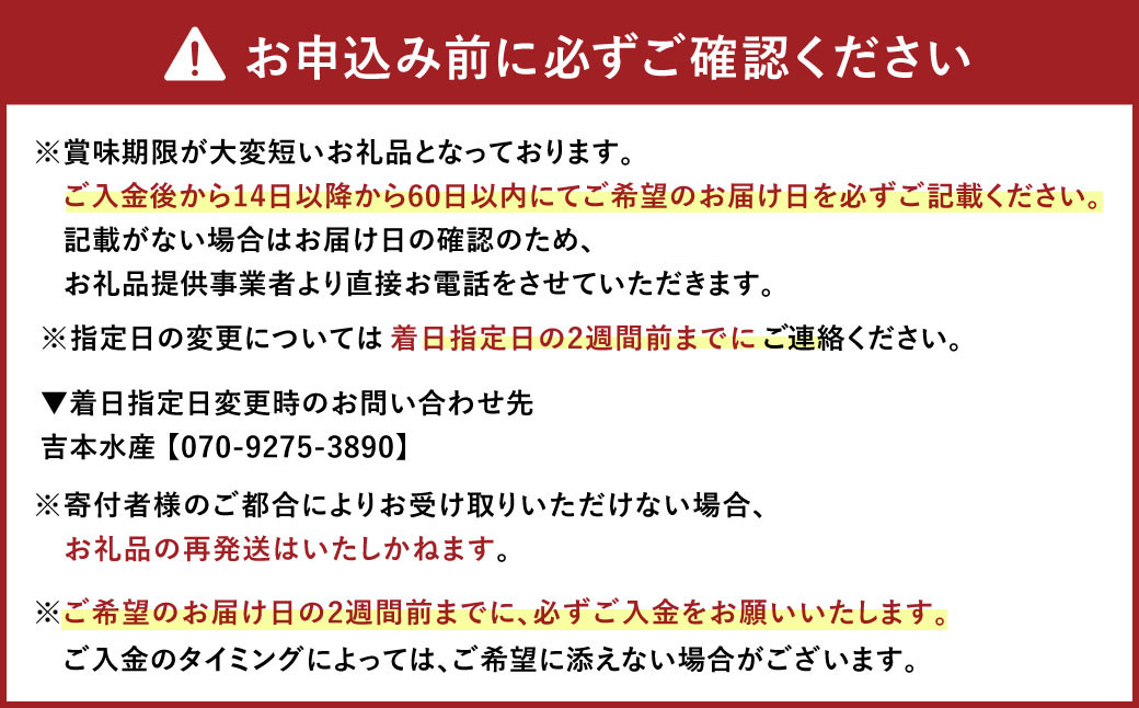 熊本県産 活き車海老 約600g（20～30尾程度）