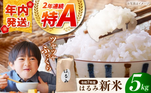 【12月25日(木)ご入金確認分まで年内発送】【白米】 米 新米 はるみ 5kg  【遠藤ファーム】 2025年産 おこめ こめ お米 ごはん 白米 はくまい 精米 ブランド米 ブランド はるみ 令和7年 産地直送 人気 おすすめ おいしい うまい 特A 5キロ もちもち 食感 大きい粒 生活 冷めてもおいしい ご飯 お弁当 【特Aランク受賞実績あり！】 [BDAF001]
