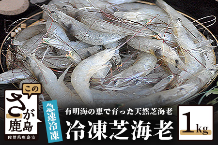  冷凍芝エビ（真エビ）１kg（500g×2パック）えび 海老 有明海  AA-9