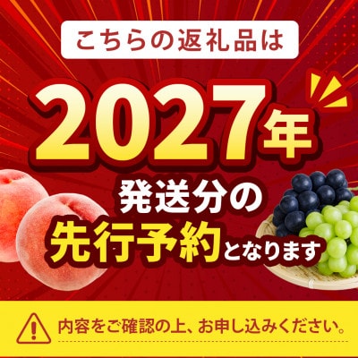 2027年発送先行受付【海外セレブ御用達の贈答品】わずか5%糖度16度以上の樹上完熟ブランド桃【配送不可地域：離島・北海道・沖縄県・中国・四国・九州】