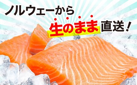 サーモン 600g サーモン アトラン サーモン ｻｰﾓﾝ ｻｰﾓﾝ