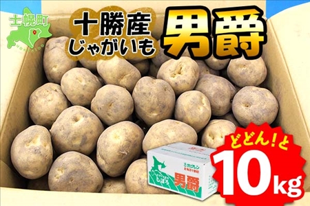 北海道 じゃがいも 男爵 10kg 北海道産 十勝産 男爵芋 男爵イモ 男爵薯 ジャガイモ 芋 いも ポテト お取り寄せ まとめ買い 送料無料 十勝 士幌町【V03】