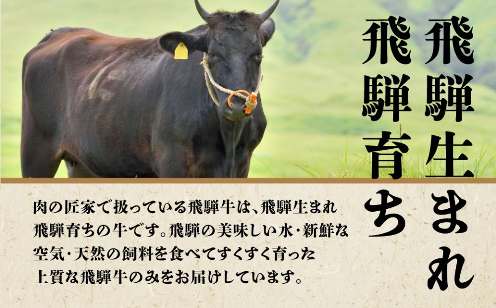 A5 飛騨牛 サーロインステーキ 200ｇ×2枚 ステーキ 冷凍 化粧箱入 黒毛和牛 肉 飛騨高山 c508