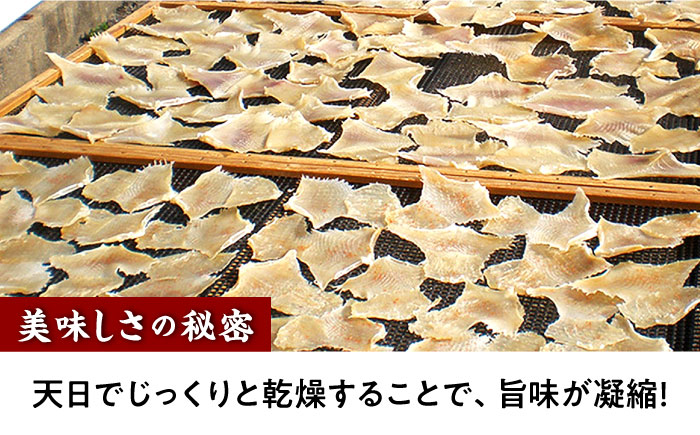 【6回定期便】長崎県産えいひれ干　500ｇ / えいひれ エイヒレ おつまみ おかず / 大村市 / 株式会社ナガスイ [ACYQ054]