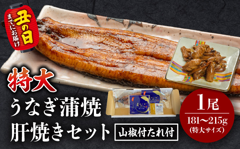 
            【選べる発送月】国産うなぎ蒲焼(特大サイズ)・肝焼きセット_M069-015-SKU
          