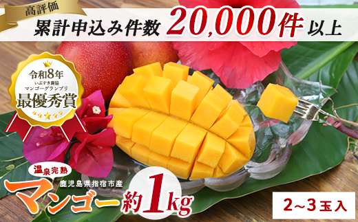 【2026年発送】【訳あり】鹿児島県いぶすき産 温泉完熟マンゴー約1kg(T&P/IB057-001) マンゴー フルーツ 果物 旬 夏 指宿 いぶすき 鹿児島  完熟  グルメ 南国 南国フルーツ 