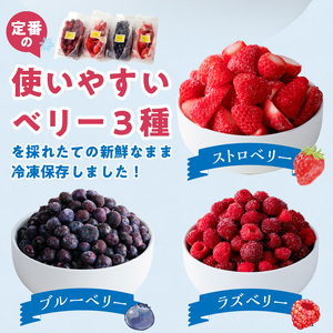 冷凍ベリー3種詰合せ（ストロベリー500g・ラズベリー250g・ブルーベリー250g）_冷凍 ベリー 3種 詰め合わせ ストロベリー 500g ラズベリー ブルーベリー 各250g 新鮮 ジャム お菓