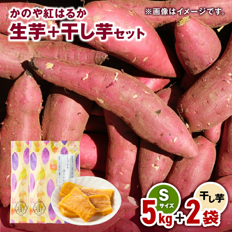 【ふるさと納税】 「かのや紅はるか」生芋Sサイズ5kg+干し芋2袋セット 定められた栽培基準等をクリアした濃厚でしっとりとした食感の紅はるか【さつまいも特集】【有限会社南橋商事】