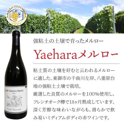 ふるさと納税 東御市 凍霜害 応援　「八重原の名を冠する」プレミアムな赤ワイン【496ワイナリー】 |  | 01
