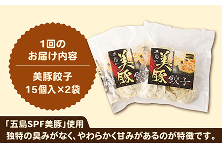 【全6回定期便】美豚ちゃんと餃子のバラエティセット計6袋(3種×2袋) 味付け 豚肉 SPFポーク 小分け 国産野菜 ギョウザ 五島市/長崎フードサービス [PEL029]