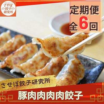 ふるさと納税 佐世保市 【発送月固定定期便】させぼ餃子研究所 豚肉肉肉肉餃子 計96個×全6回