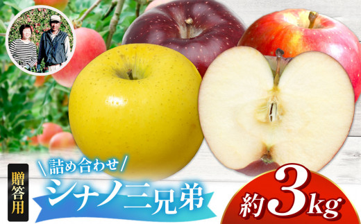 【先行受付：10月発送】【贈答用】シナノ三兄弟　詰め合わせ　3kg｜ふるさと納税 長野県 松本市 林檎 りんご リンゴ  信州産 シナノスイート シナノゴールド 贈答用 甘い 贈り物 季節限定 詰め合わせ