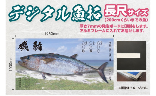 
CM-017 【長尺・デジタル魚拓】メモリアルフィッシュを釣れたてのままに。
