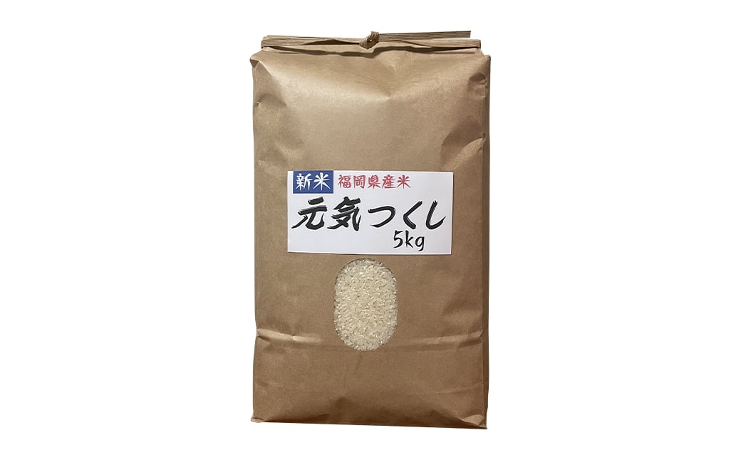 【 令和8年産 】 農家直送！冷めてもうまい元気つくし。福岡が誇るお米「 元気つくし 」 5kg