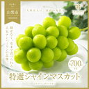 【ふるさと納税】2025年先行予約 山梨県山梨市産　特選　旬の採れたてシャインマスカット　1房　(700g以上)【配送不可地域：離島】【1134844】